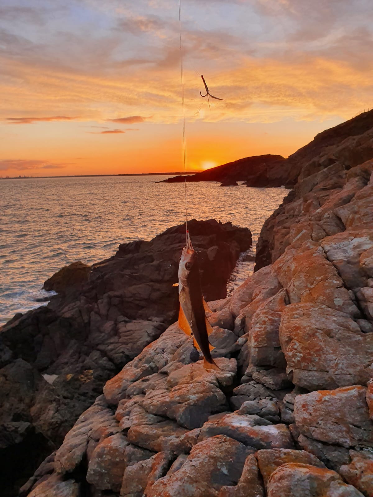 24/08/2022 - The Telegraph Pole - Howth