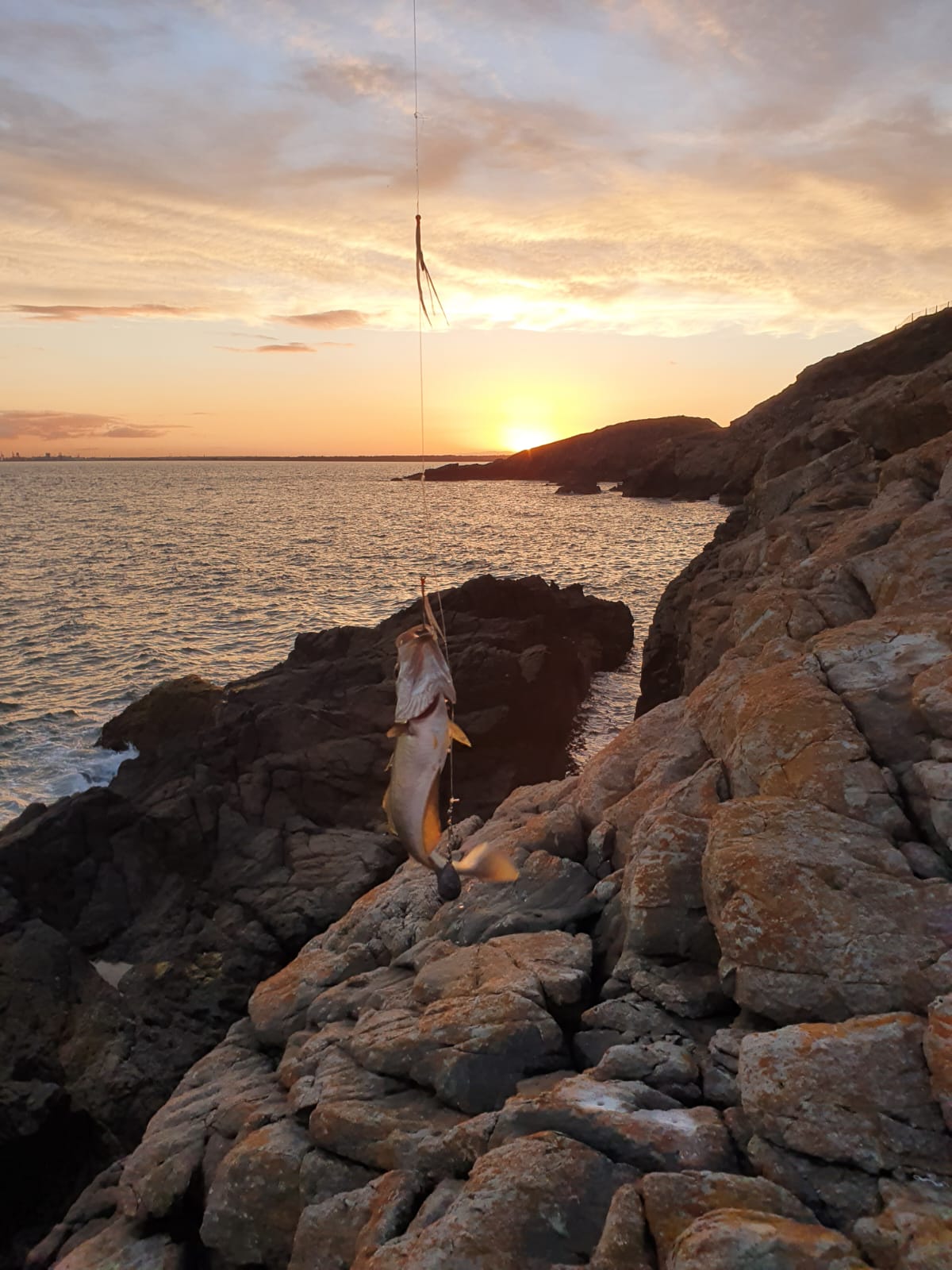 24/08/2022 - The Telegraph Pole - Howth