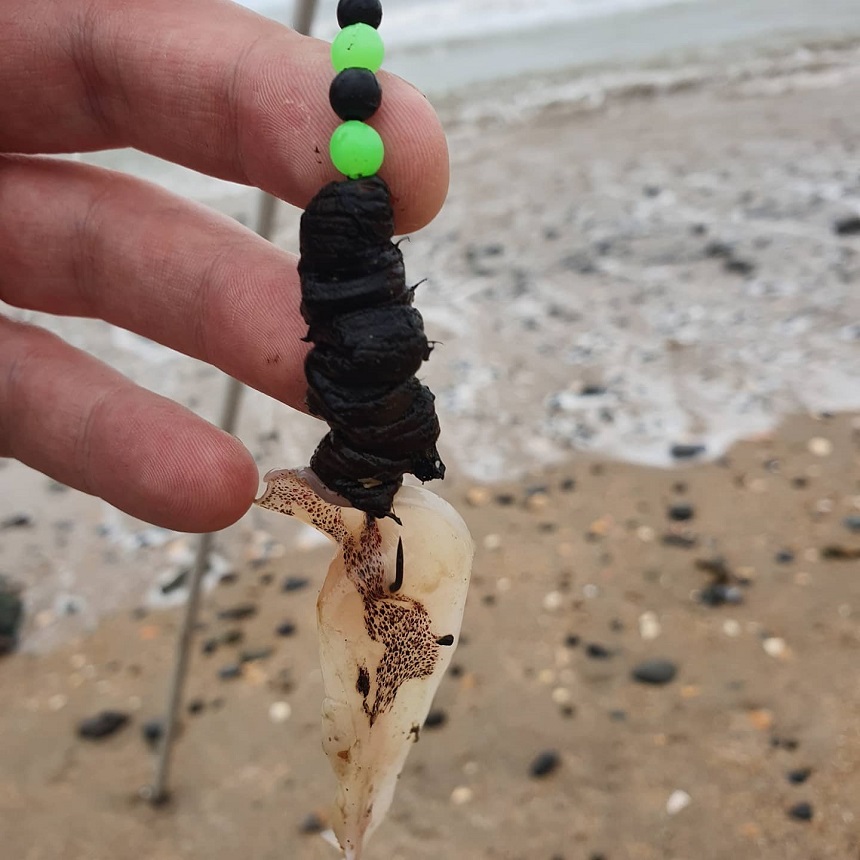 28/03/2021 - Portrane Beach
