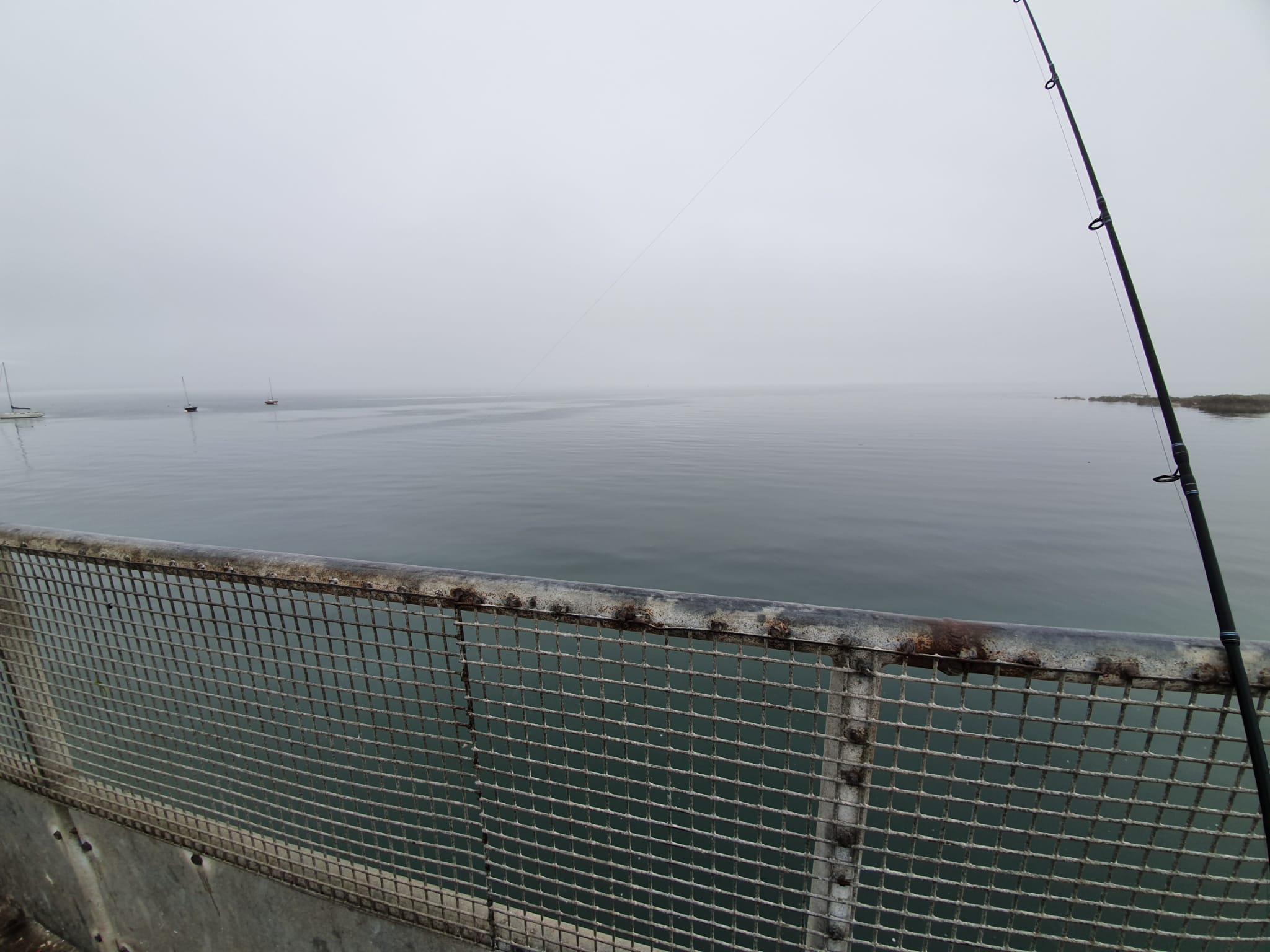 20/08/2021 - Skerries Pier