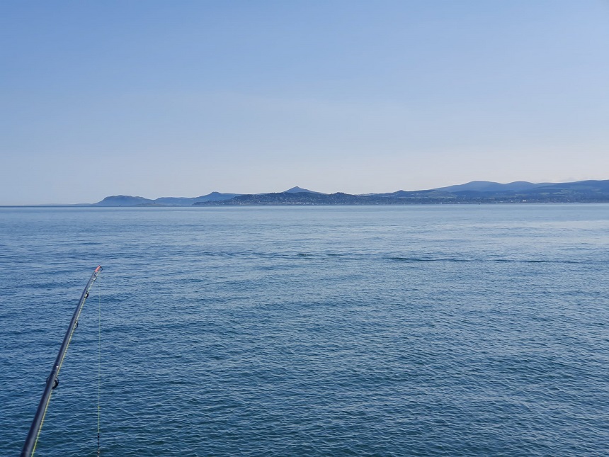 16/07/2021 - The Telegraph Pole - Howth