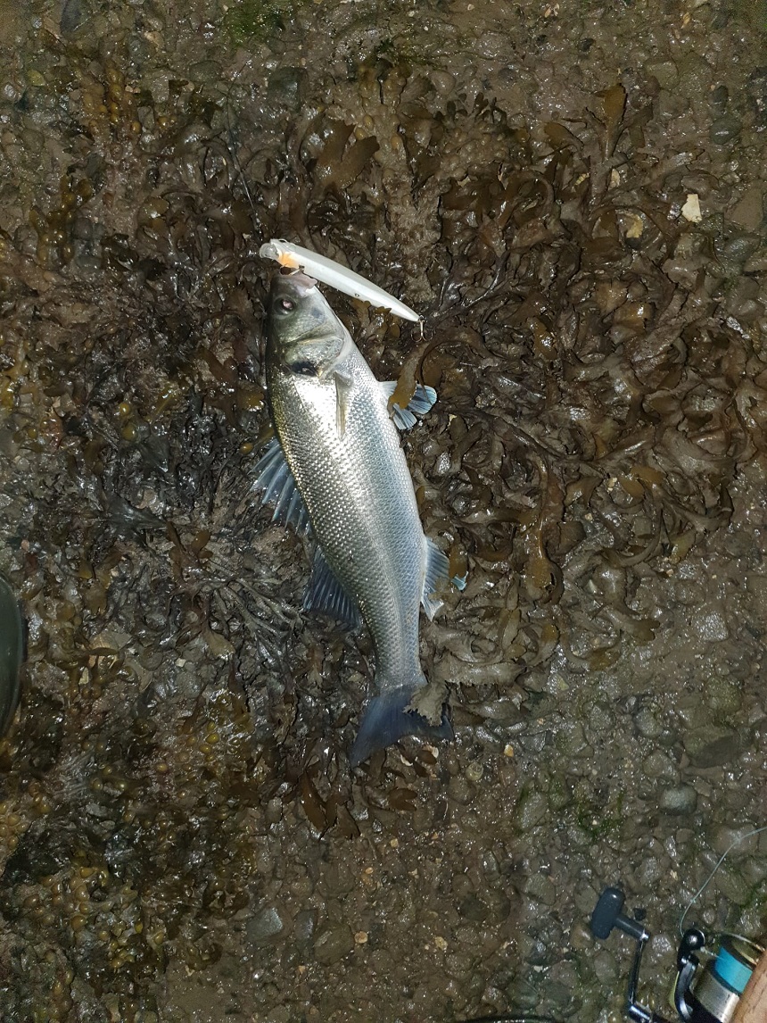 14/08/2021 - North Dublin