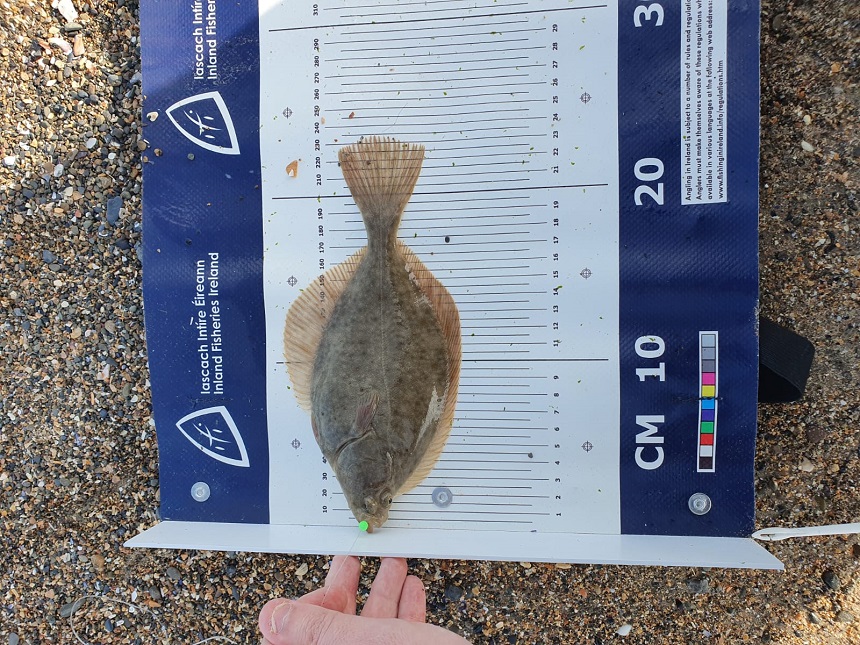 04/04/2021 - Portrane Beach