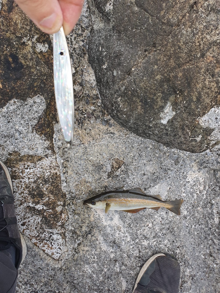 17/08/2021 - North Dublin Pier