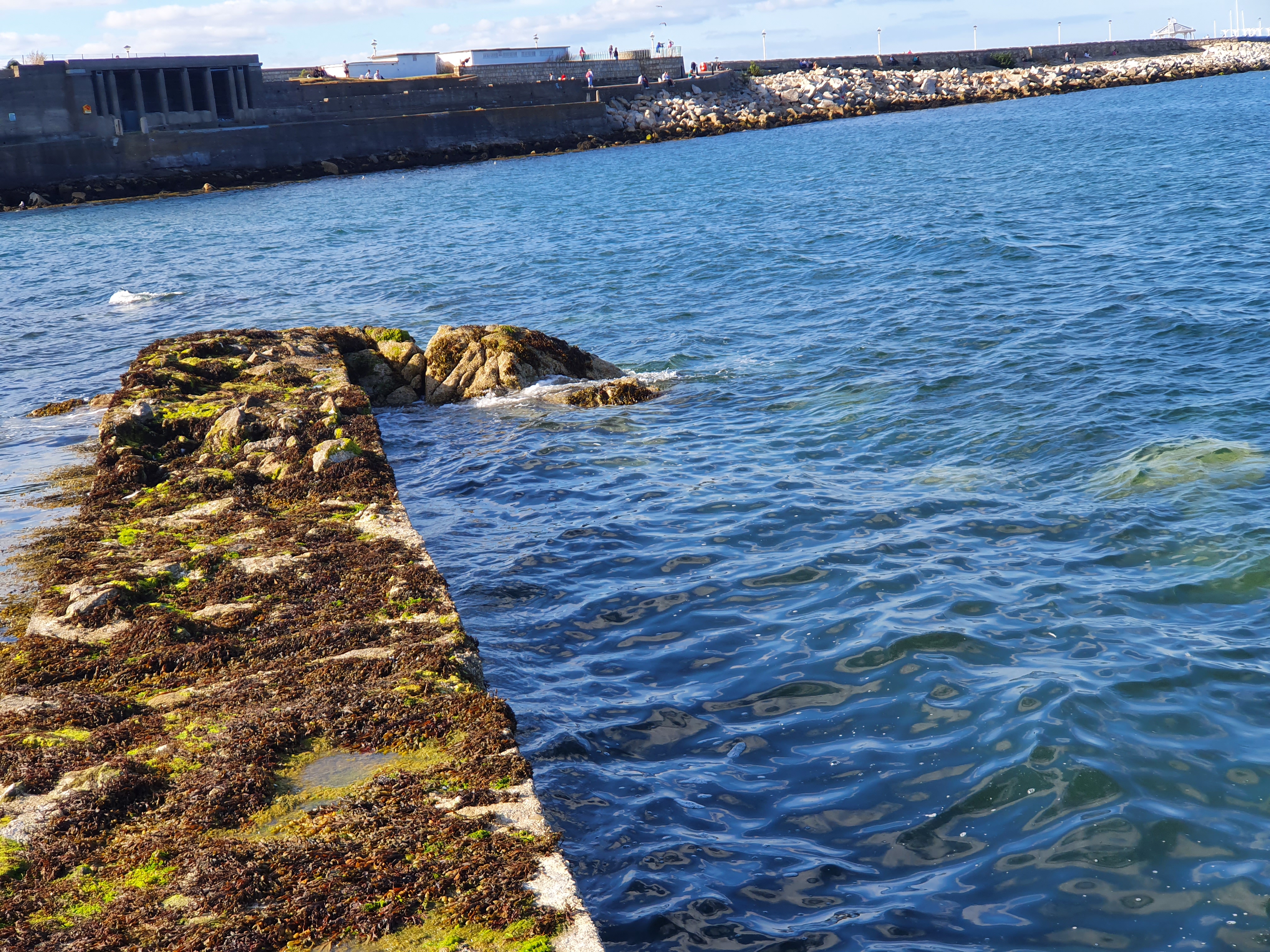 07/08/2022 - Dun Laoghaire East Pier