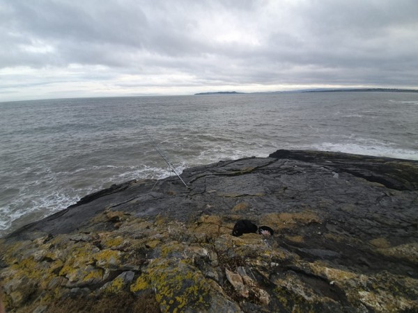 19/01/2021 - Portrane Cliffs
