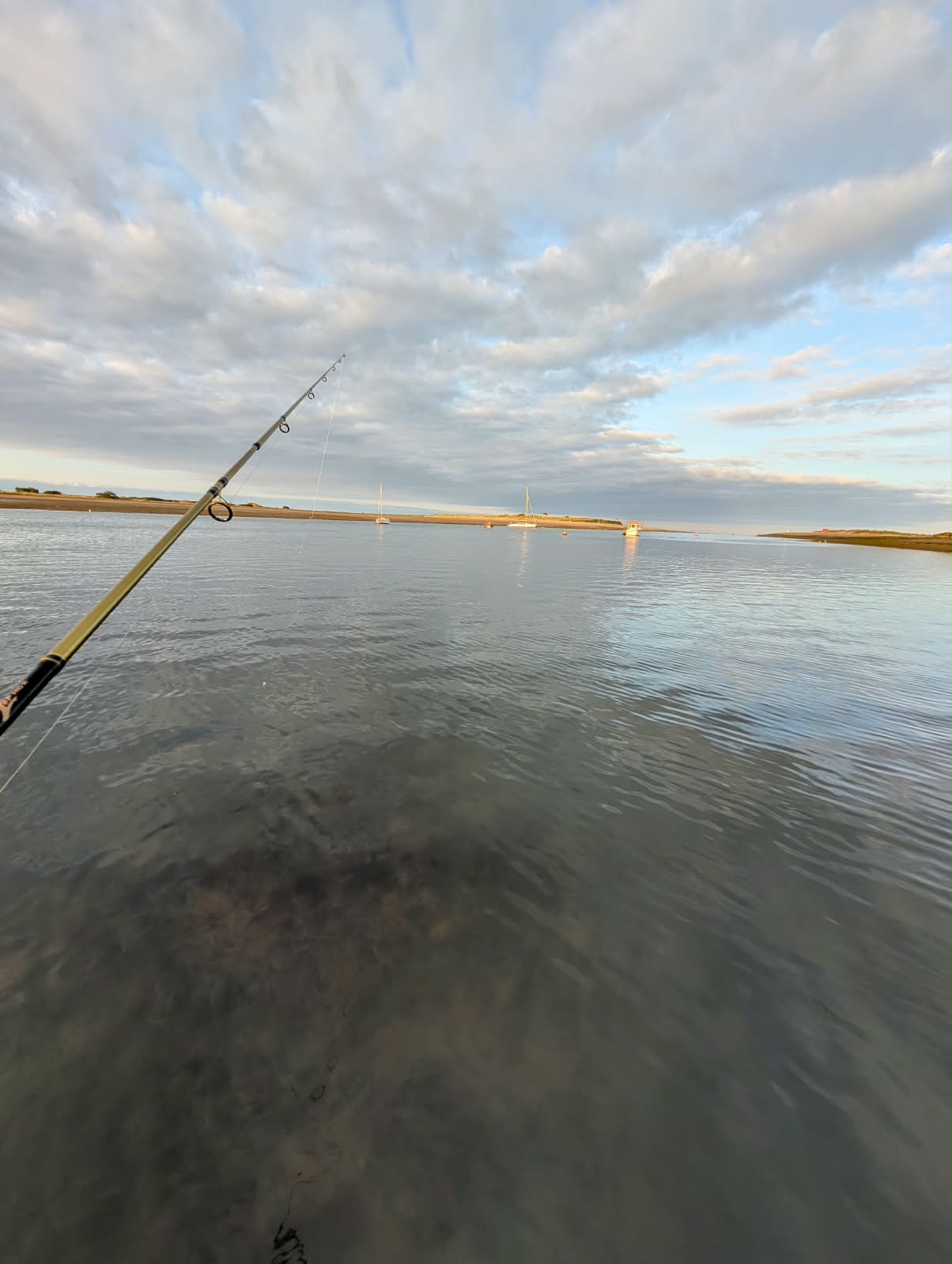North Dublin Bass