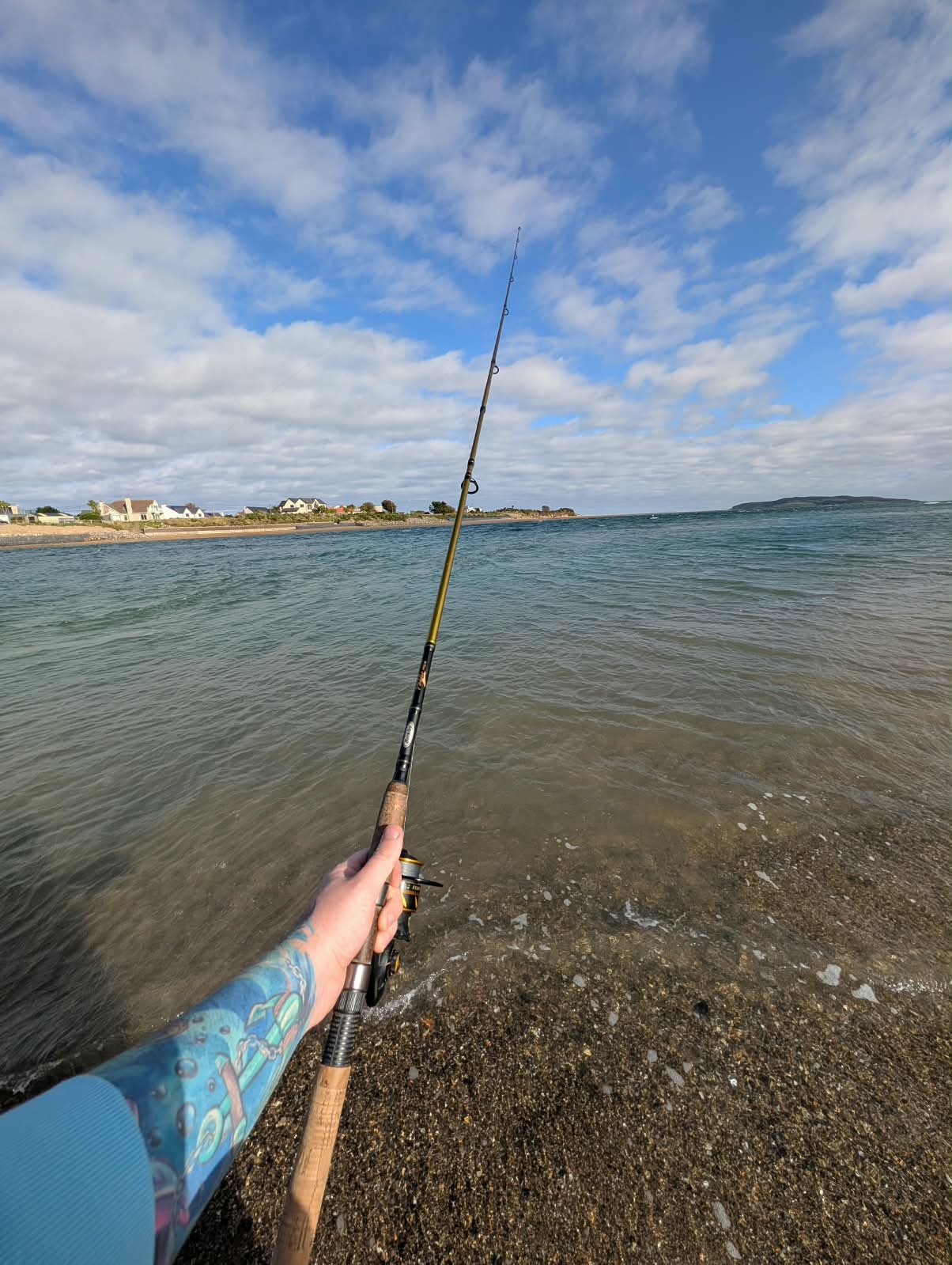 North Dublin Schoolie