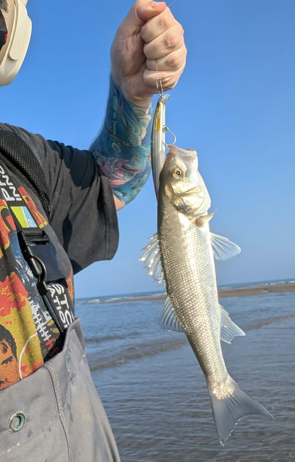 North Dublin Bass