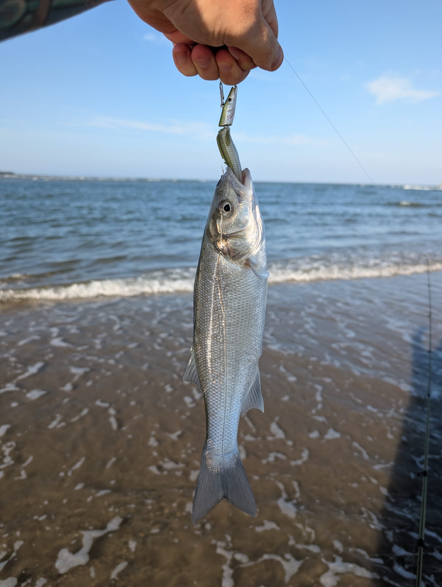 North Dublin Bass
